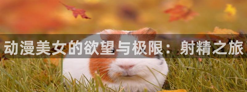 动漫天堂官网