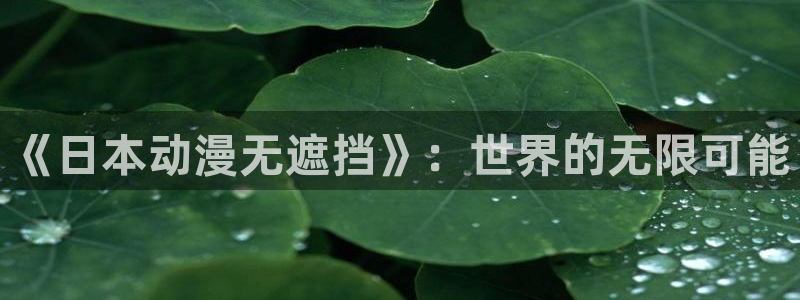 动漫天堂官网