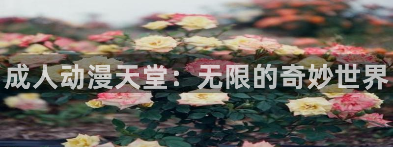 cos动漫天堂官网下载
