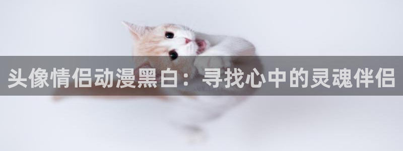 动漫天堂从哪下载安装
