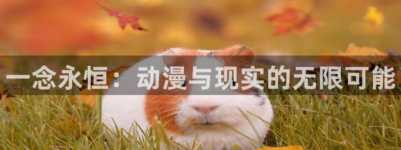 动漫天堂.cc
