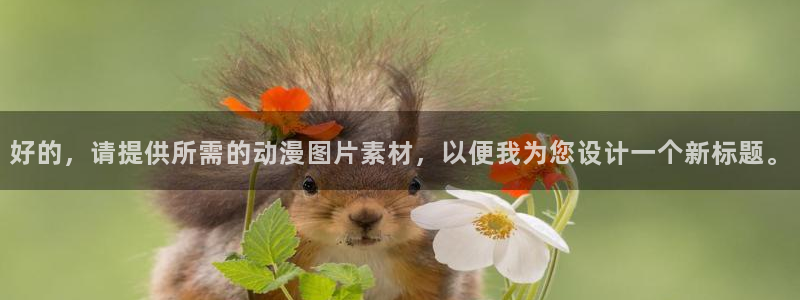 动漫天堂软件