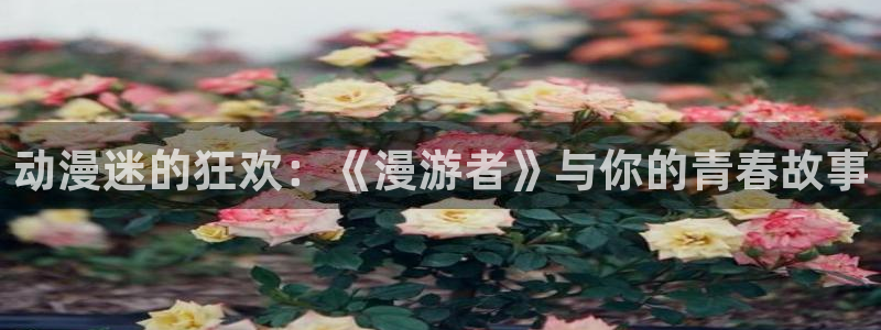 成人动漫天堂网