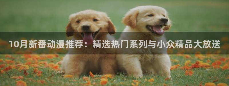 18动漫天堂