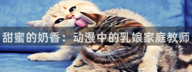 动漫天堂官方正版下载
