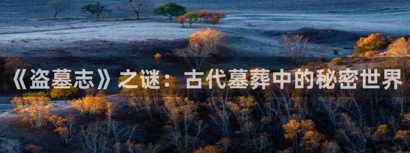 动漫天堂官网