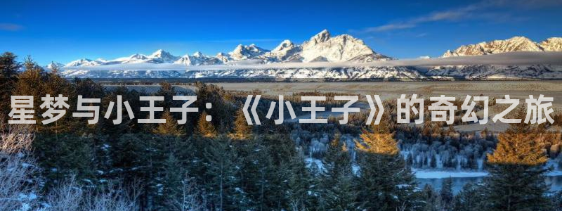动漫天堂在线看：星梦与小王子：《小王子》的奇幻之旅