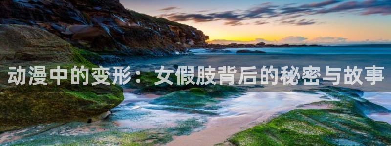 动漫天堂总站