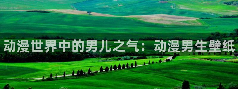 bt动漫天堂
