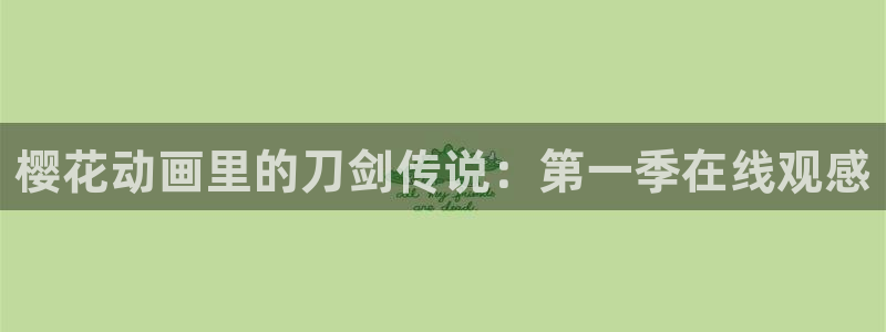 动漫天堂软件