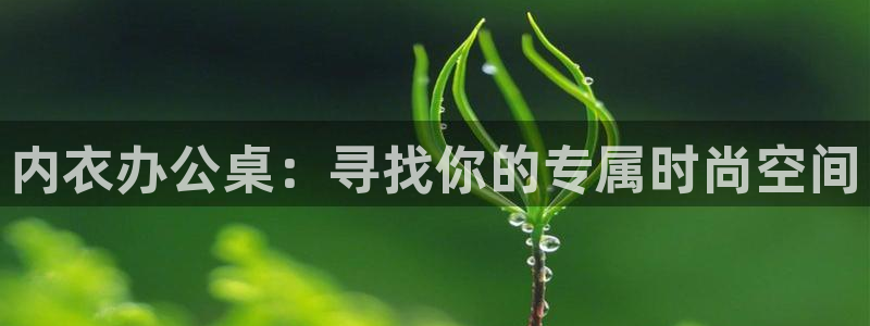 成人动漫天堂网