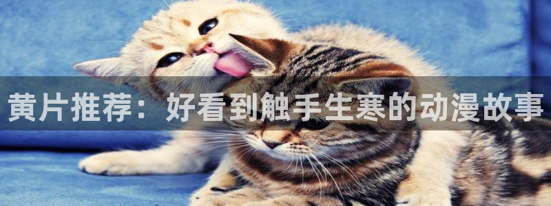 acg动漫天堂