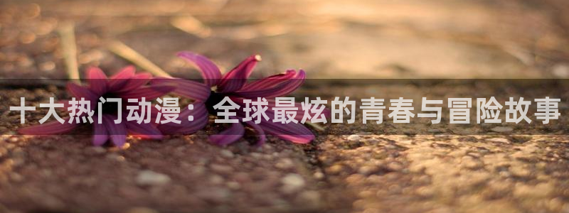动漫天堂.