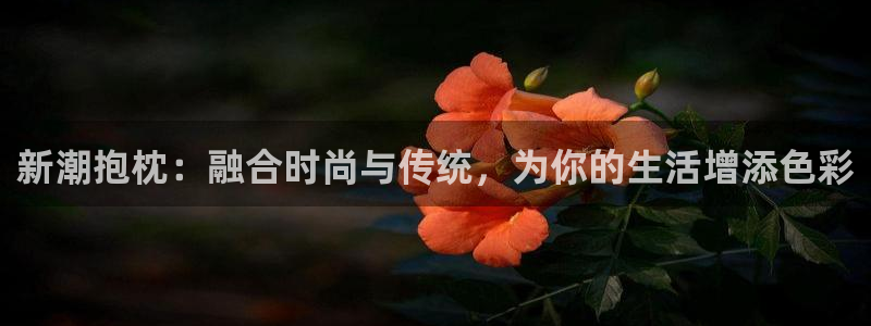 番剧推荐动漫天堂.