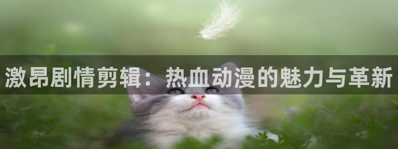 禁漫动漫天堂