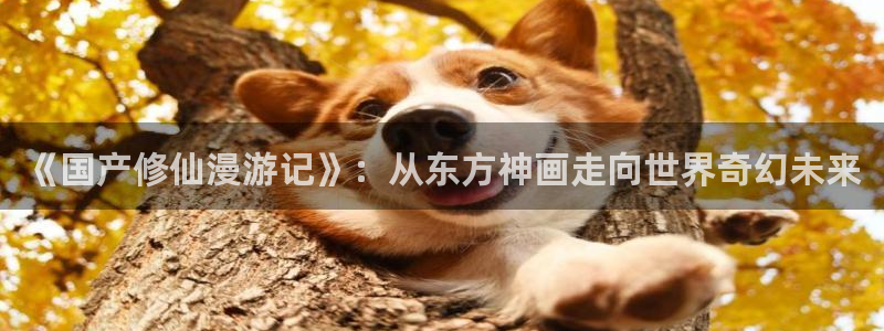 动漫天堂在线免费观看：《国产修仙漫游记》：从东方神画走向世界奇幻未来