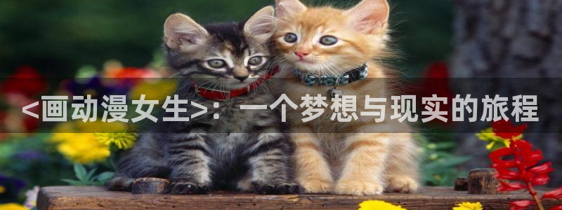 禁漫动漫天堂：<画动漫女生>：一个梦想与现实的旅程