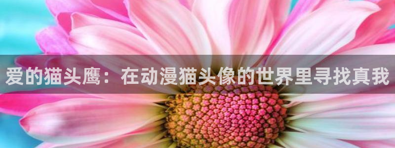 禁漫动漫天堂：爱的猫头鹰：在动漫猫头像的世界里寻找真我