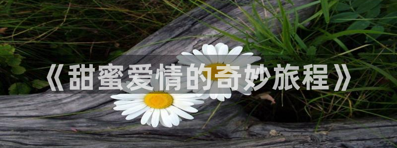 动漫天堂免费在线观看：《甜蜜爱情的奇妙旅程》