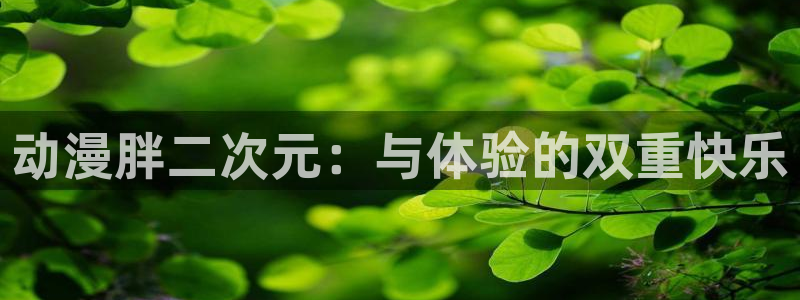 动漫天堂免费版：动漫胖二次元：与体验的双重快乐