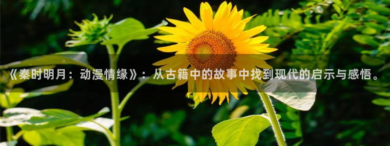 免费动漫天堂之吻：《秦时明月：动漫情缘》：从古籍中的故事中找到现代的启示与感悟。