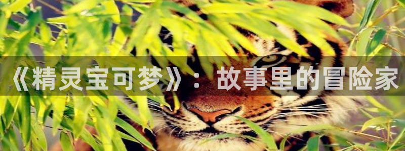 原神禁动漫天堂：《精灵宝可梦》：故事里的冒险家