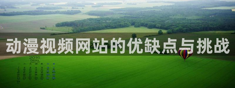成人动漫天堂网：动漫视频网站的优缺点与挑战