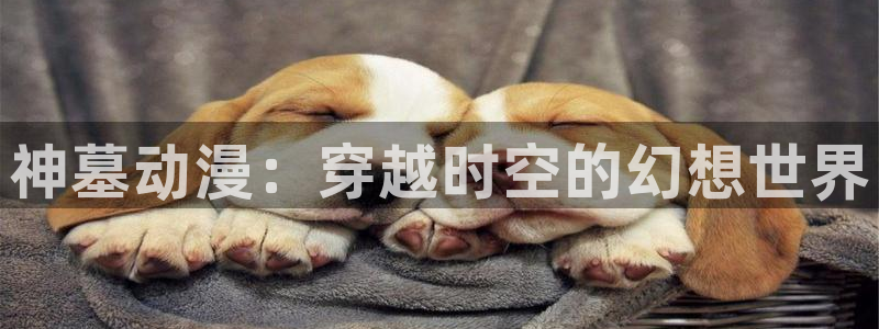 男人动漫天堂在线：神墓动漫：穿越时空的幻想世界
