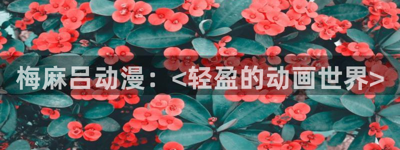 禁动漫天堂：梅麻吕动漫：<轻盈的动画世界>