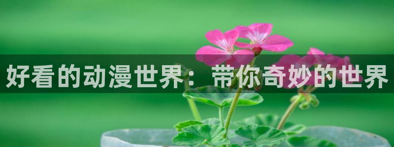 动漫天堂免费：好看的动漫世界：带你奇妙的世界