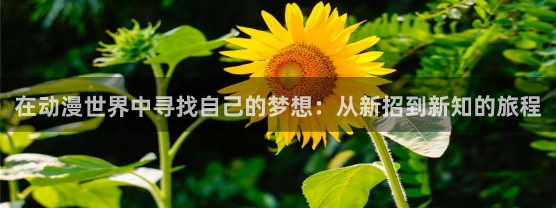 成人动漫天堂av：在动漫世界中寻找自己的梦想：从新招到新知的旅程