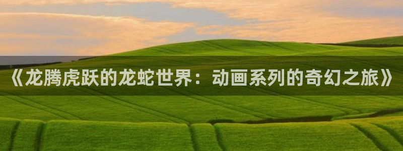 原神禁动漫天堂：《龙腾虎跃的龙蛇世界：动画系列的奇幻之旅》