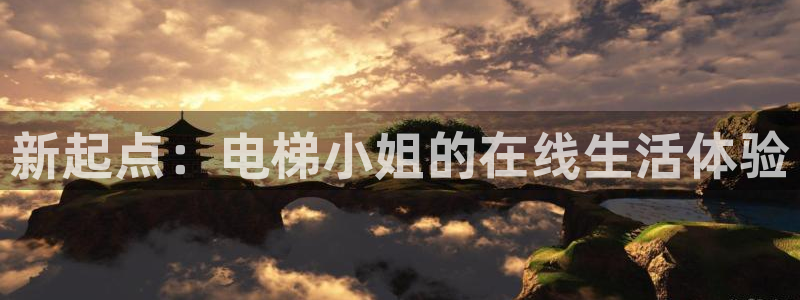 内地动漫天堂：新起点：电梯小姐的在线生活体验