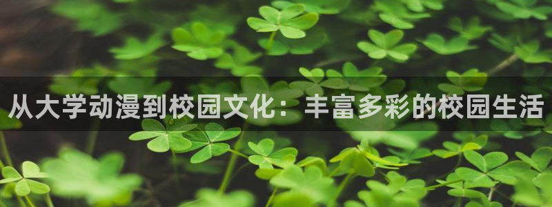 动漫天堂下载安装最新版