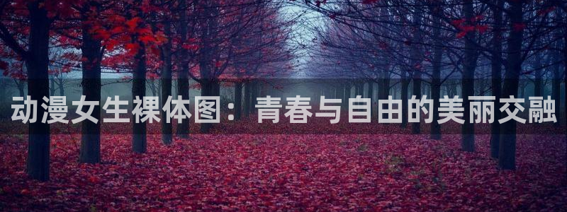 动漫天堂下载最新版