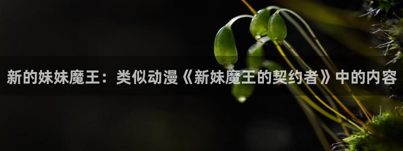 动漫天堂cc