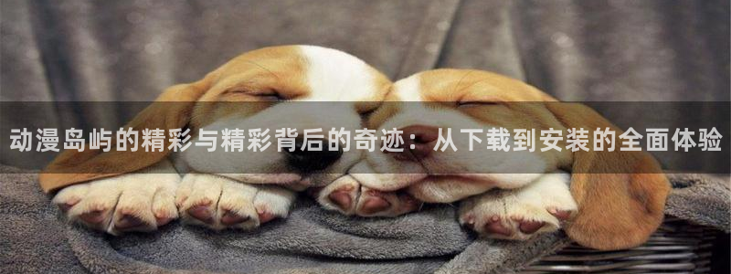 动漫天堂网：动漫岛屿的精彩与精彩背后的奇迹：从下载到安装的全面体验