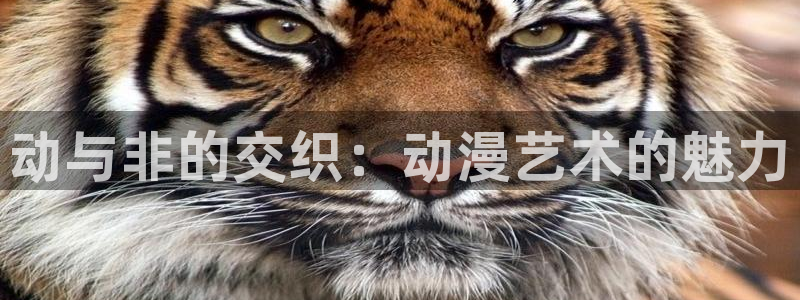 www.动漫天堂：动与非的交织：动漫艺术的魅力