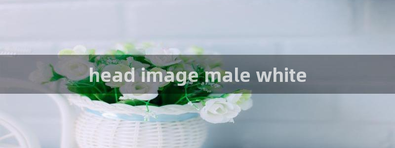 原神禁动漫天堂可莉：head image male white