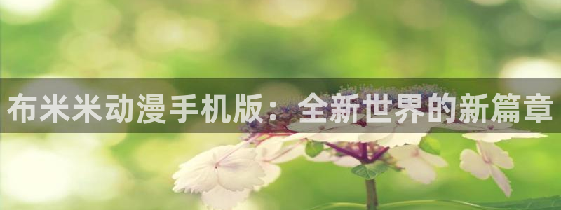 动漫天堂91：布米米动漫手机版：全新世界的新篇章