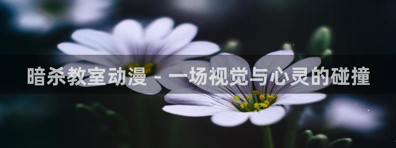 原神禁动漫天堂：暗杀教室动漫 - 一场视觉与心灵的碰撞