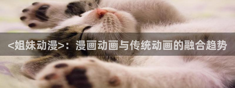 下载动漫天堂：<姐妹动漫>：漫画动画与传统动画的融合趋势