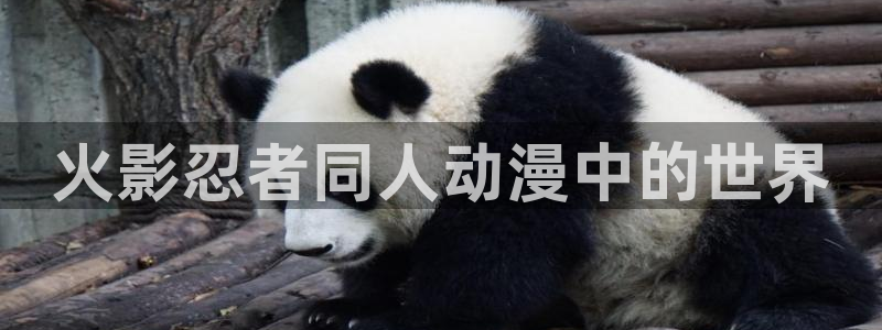 动漫天堂下载官方：火影忍者同人动漫中的世界