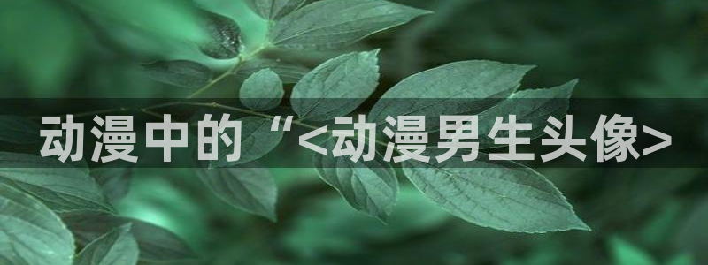 jk动漫天堂：动漫中的“<动漫男生头像>
