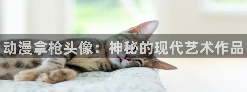 动漫天堂3d：动漫拿枪头像：神秘的现代艺术作品