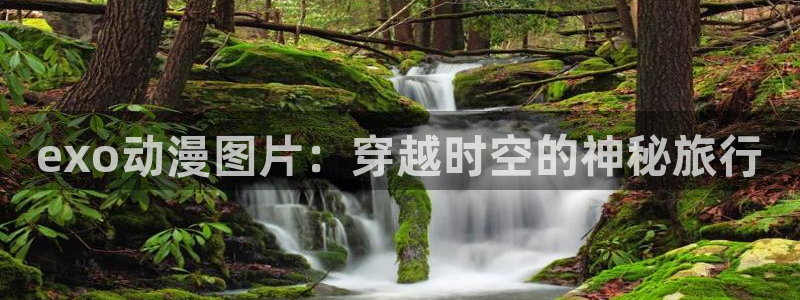 动漫天堂下载正版：exo动漫图片：穿越时空的神秘旅行