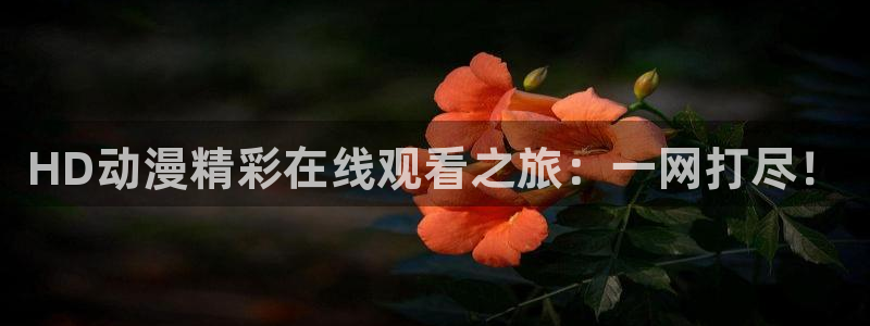 动漫天堂软件：HD动漫精彩在线观看之旅：一网打尽！