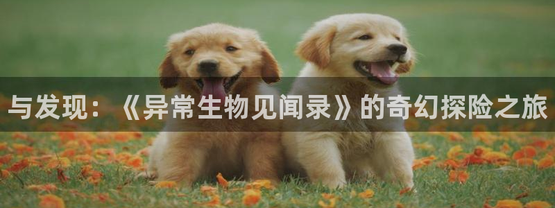 秋叶原动漫天堂：与发现：《异常生物见闻录》的奇幻探险之旅