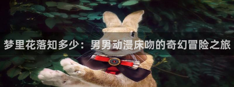 亚洲动漫天堂：梦里花落知多少：男男动漫床吻的奇幻冒险之旅