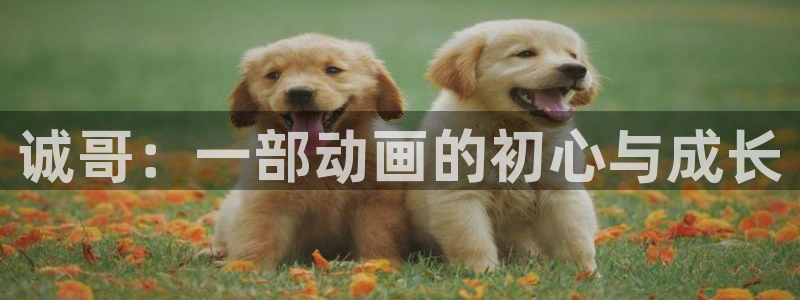 h动漫天堂：诚哥：一部动画的初心与成长